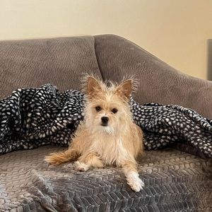 Meet your Posher, Cindy